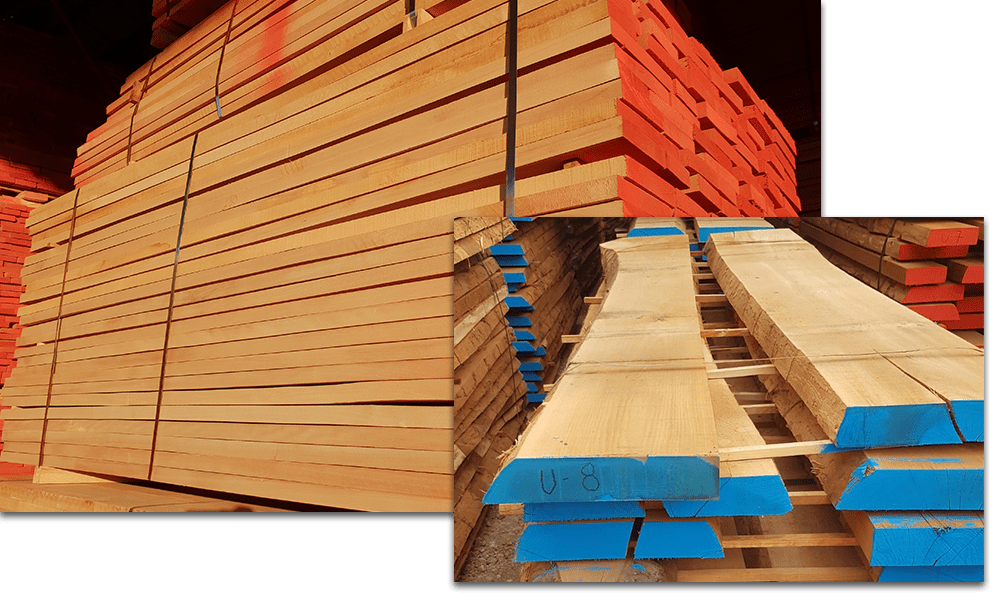 european high quality beech timber